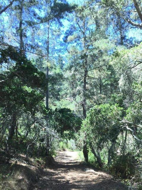 64 Marguerite (Tehama), Carmel CA: https://media.crmls.org/mediaz/0ff630b2-8743-4c5b-b769-af68d754591b.jpg