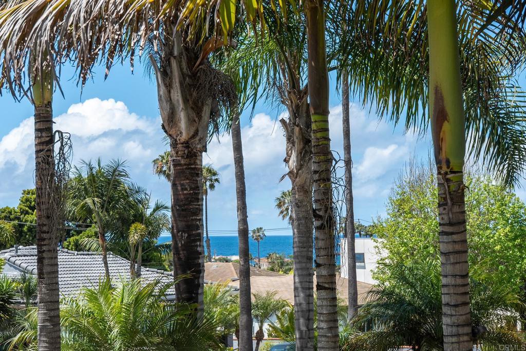 4552 Point Loma Avenue - photo 8