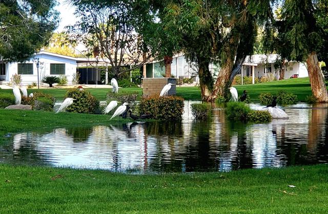 234 Settles Drive, Cathedral City CA: https://media.crmls.org/mediaz/0ffc22cd-0625-4e65-9350-a23ed64b72e2.jpg