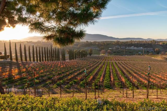 24643 Leafwood Dr, Murrieta CA: https://media.crmls.org/mediaz/10021e86-7d16-4766-afec-0ca0db75b45b.jpg