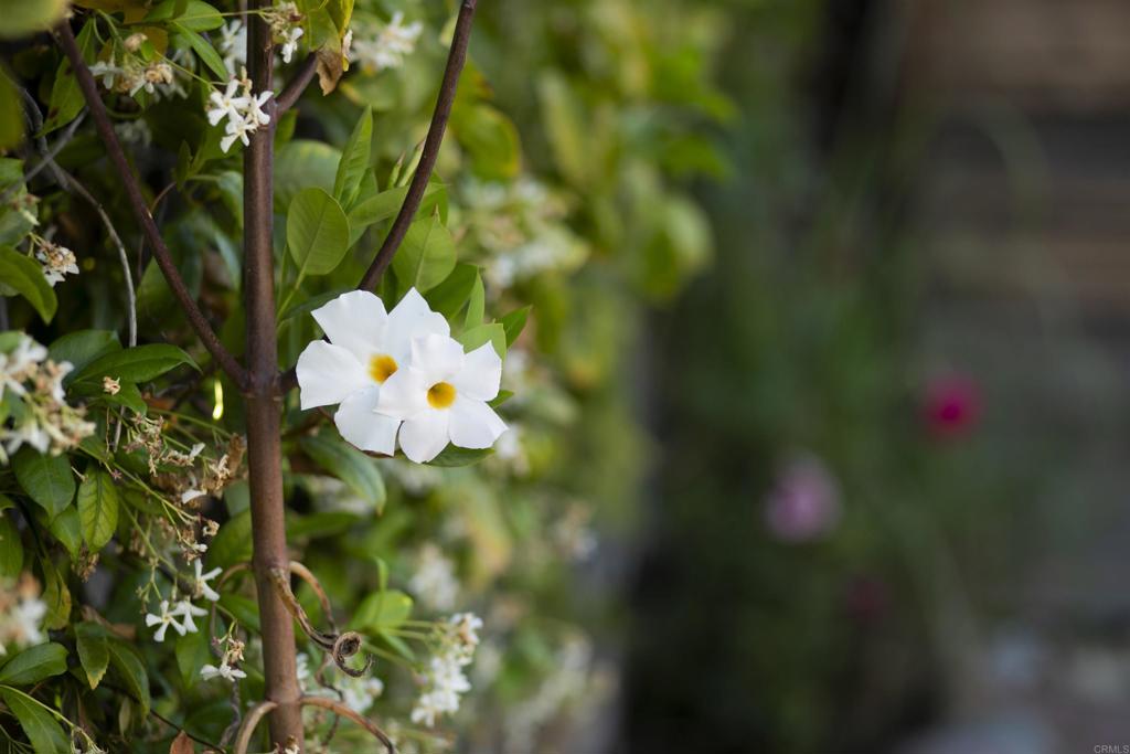 https://media.crmls.org/mediaz/100a2450-df26-4ebc-a871-9a3599d5e715.jpg?preset=X-Large