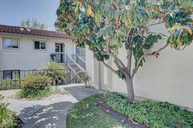 1982 Fairlee, Encinitas CA: https://media.crmls.org/mediaz/10148e92-a008-4952-bbda-0c0acc6ebd70.jpg