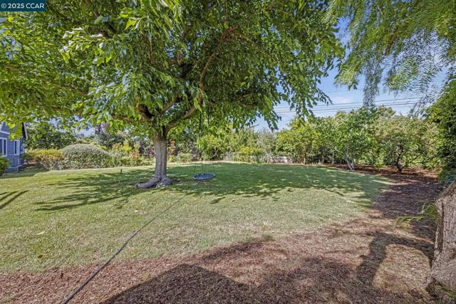 3505 Euclid Ave, Concord CA: https://media.crmls.org/mediaz/1014d187-8d19-40d6-b2e2-75f9ed68382d.jpg