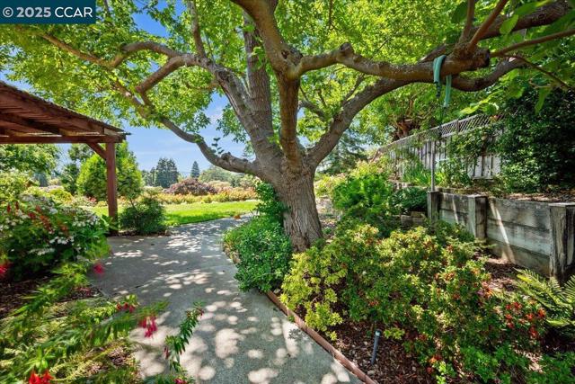681 Rock Oak Rd, Walnut Creek CA: https://media.crmls.org/mediaz/1025c462-93e9-46cc-a8b5-b79180bb3fe1.jpg