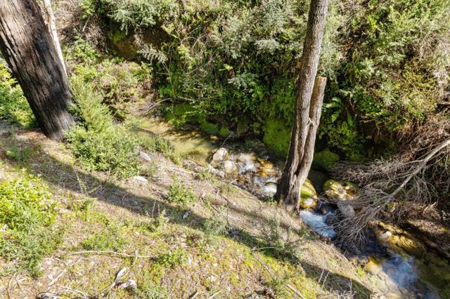 15995 Big Basin Way, Boulder Creek CA: https://media.crmls.org/mediaz/10271cd6-b392-4fc5-8be2-8b0324a165d7.jpg