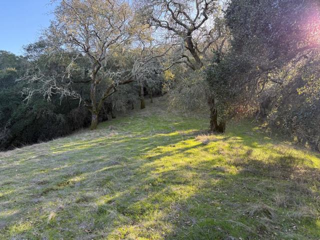 0 Chesbro Lake Drive, Morgan Hill CA: https://media.crmls.org/mediaz/10390137-231a-4732-8b43-33f687b7b633.jpg