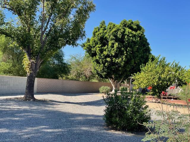 12.2 back yard and HOA area.2