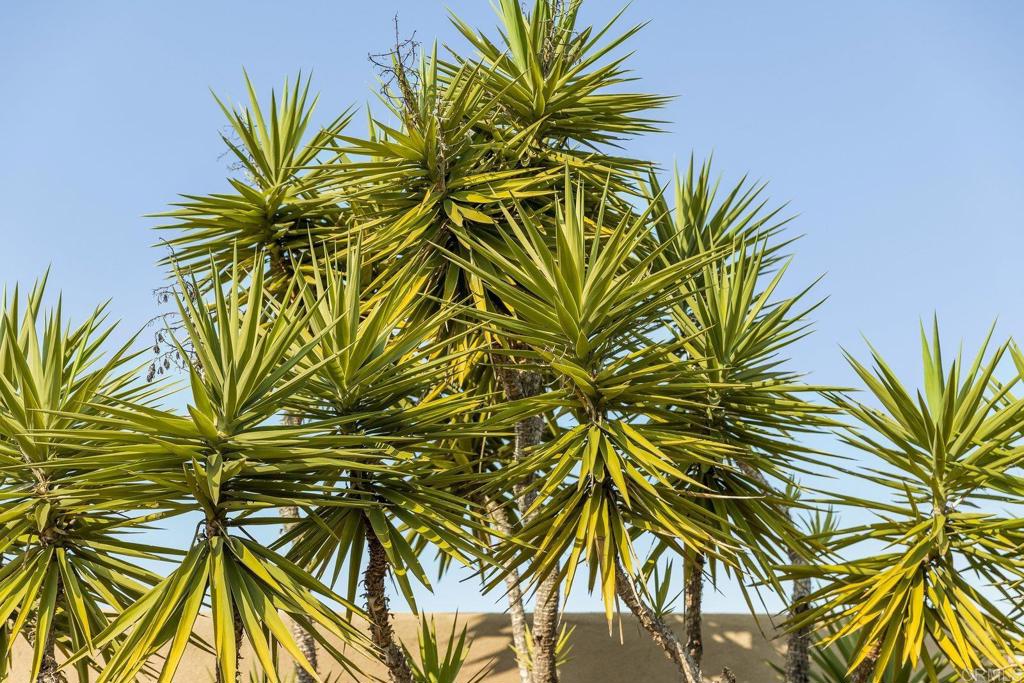 https://media.crmls.org/mediaz/10432419-655f-4423-b5c9-c396f1ffc155.jpg?preset=X-Large