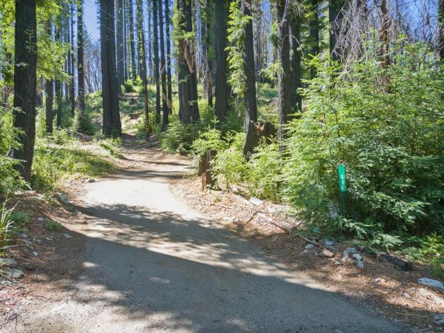 685 Robles Drive, Santa Cruz CA: https://media.crmls.org/mediaz/10503077-9f8b-4c19-8089-30158a5eaad9.jpg