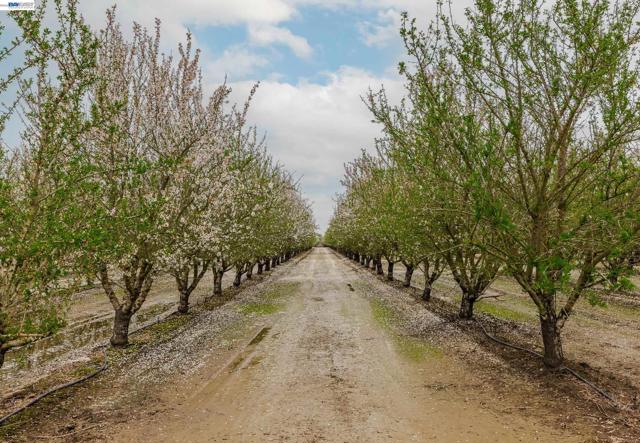 Image 13 of 14 For 1707 Bowman Rd