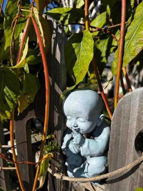 1497 Highland Place, Seaside CA: https://media.crmls.org/mediaz/107616d7-fb86-403f-bc84-89bebbb058db.jpg