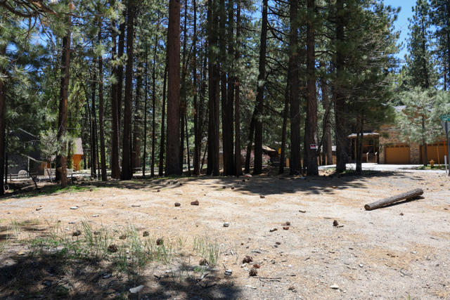 689 Summit Boulevard, Big Bear CA: https://media.crmls.org/mediaz/1087fc19-6171-45c5-9c12-5ff0c9d6d241.jpg