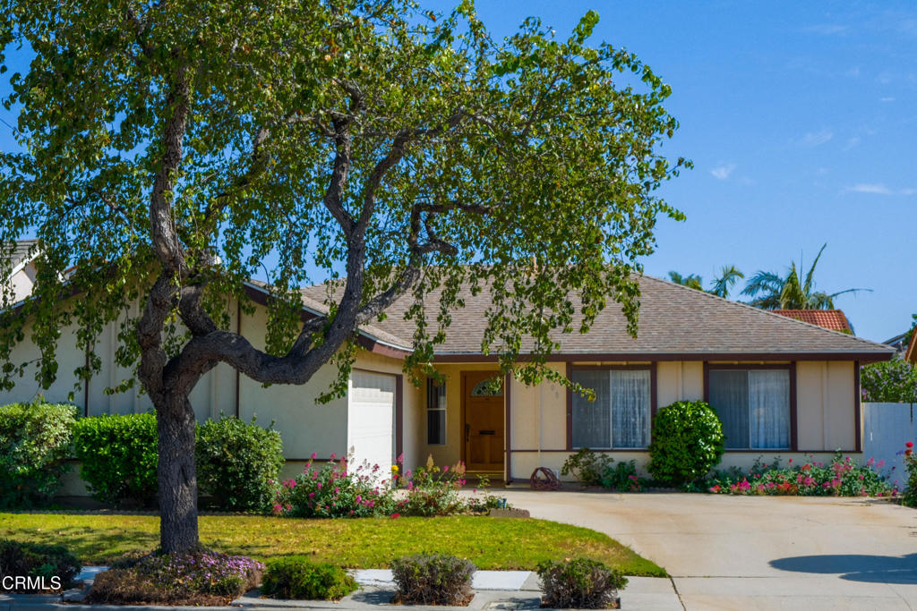 1800 Natalie Place