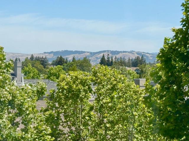 504 Tower Hill Avenue, San Jose CA: https://media.crmls.org/mediaz/108934cf-73de-4ef3-9b82-5b0f68eabb17.jpg