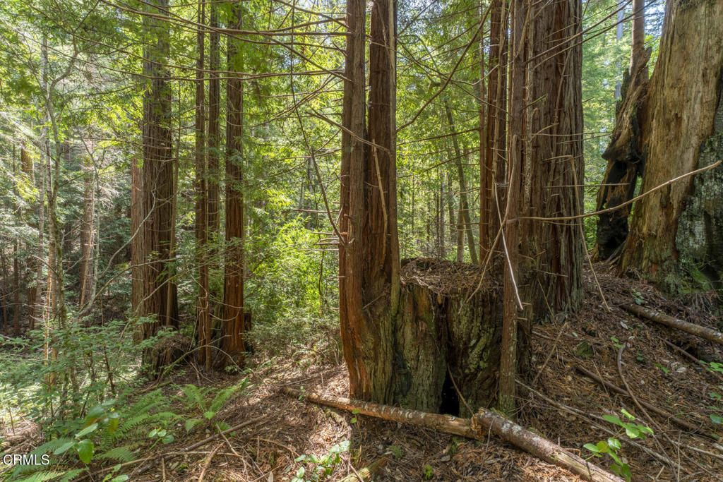 https://media.crmls.org/mediaz/108b12c1-07ac-4499-9d21-bcab998ac852.jpg?preset=X-Large