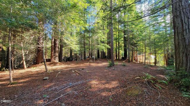 Detail Gallery Image 12 of 15 For 12301 Docker Hill Rd, Comptche,  CA 95427 - – Beds | – Baths