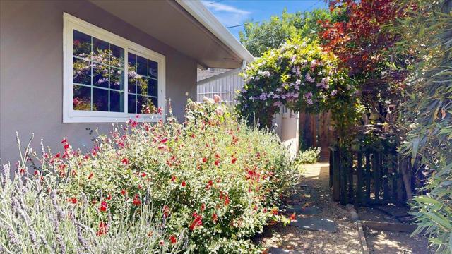 494 Century Drive, Campbell CA: https://media.crmls.org/mediaz/10aedd59-1218-4f7e-9905-8114530a3119.jpg