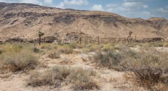 55455 Pipes Canyon, Pioneertown CA: https://media.crmls.org/mediaz/10b7390b-8c35-473a-aceb-a8526ee5ff43.jpg