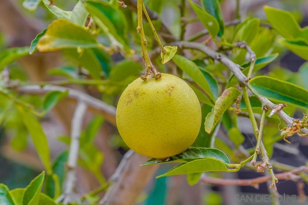 MLS #250036039SD img 51