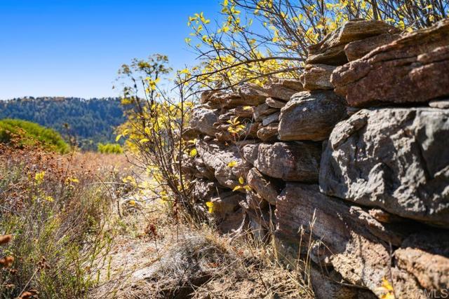 Detail Gallery Image 9 of 33 For 0 State Park Rd, Palomar Mountain,  CA 92060 - – Beds | – Baths