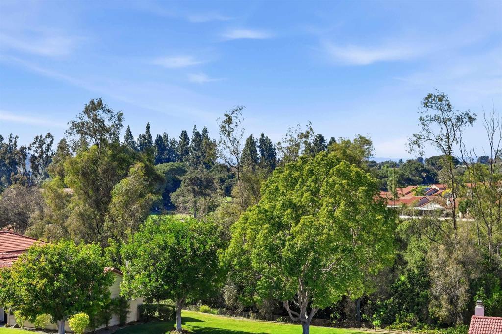 12627 Paseo Del Verano - photo 19