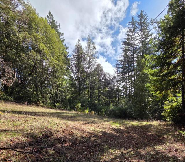 1140 Warren Drive, Santa Cruz CA: https://media.crmls.org/mediaz/10d131ab-cab1-4e98-82fa-54a672bab3fa.jpg