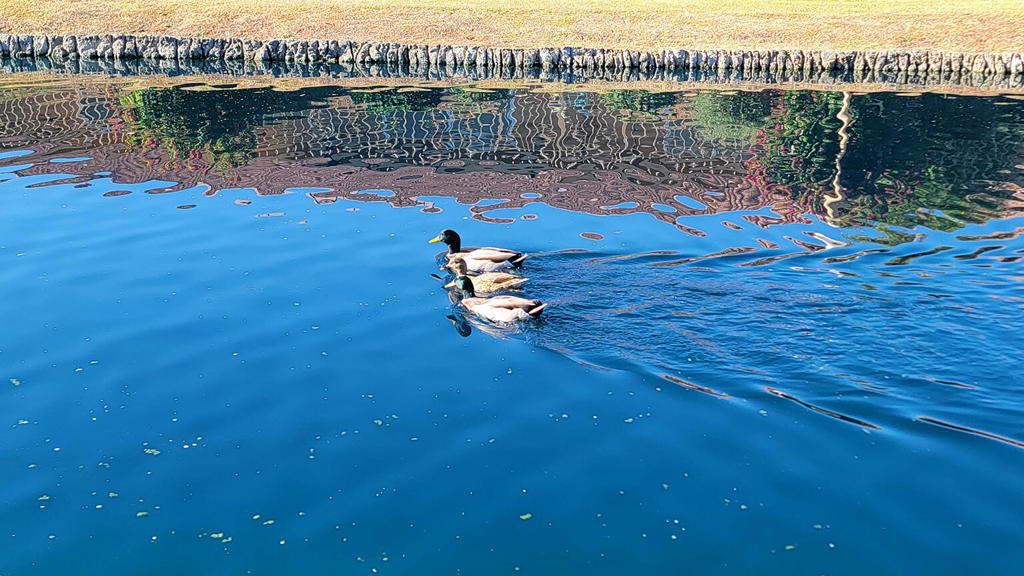 https://media.crmls.org/mediaz/10d7116f-fa31-4c97-8cad-4116a86bf936.jpg?preset=X-Large