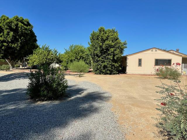 12.back yard and HOA area.3