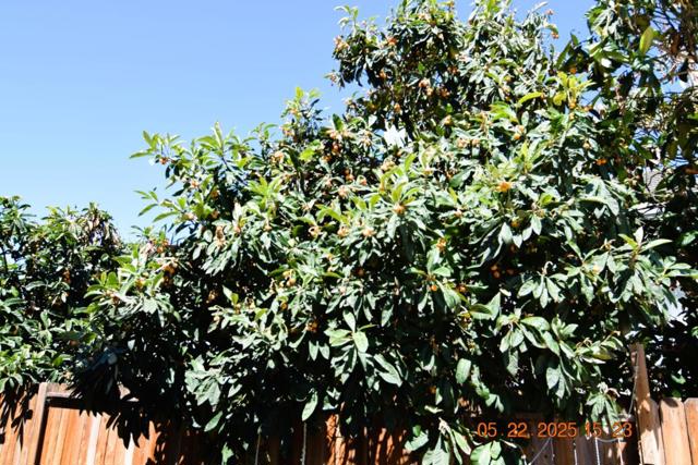 3963 Mead Street, Antioch CA: https://media.crmls.org/mediaz/10dfd37d-06c4-4e55-bea7-22d3654d1299.jpg