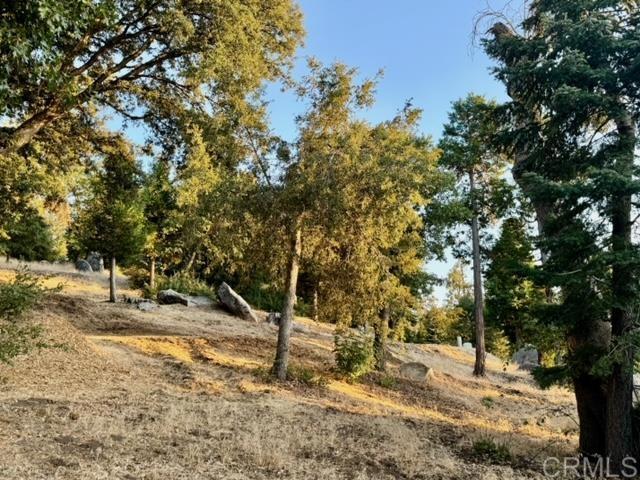 Detail Gallery Image 36 of 47 For 10 Acres Greenfield Way, Palomar Mountain,  CA 92060 - – Beds | – Baths