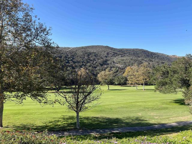 Detail Gallery Image 53 of 64 For 29122 Laurel Valley Dr, Vista,  CA 92084 - 2 Beds | 2 Baths