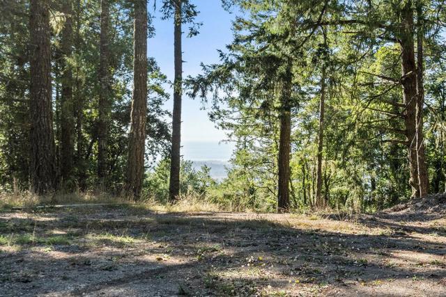 200 S Ranch Road, Pescadero CA: https://media.crmls.org/mediaz/10f36dd7-a235-4fc2-9509-450f321a08bb.jpg