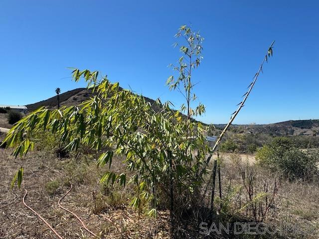 0 Santa Virginia Drive, Valley Center CA: https://media.crmls.org/mediaz/10f791f9-d750-44b5-8ffb-9dcdcffafc7e.jpg