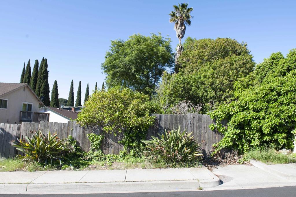 MLS #250033324SD image #5