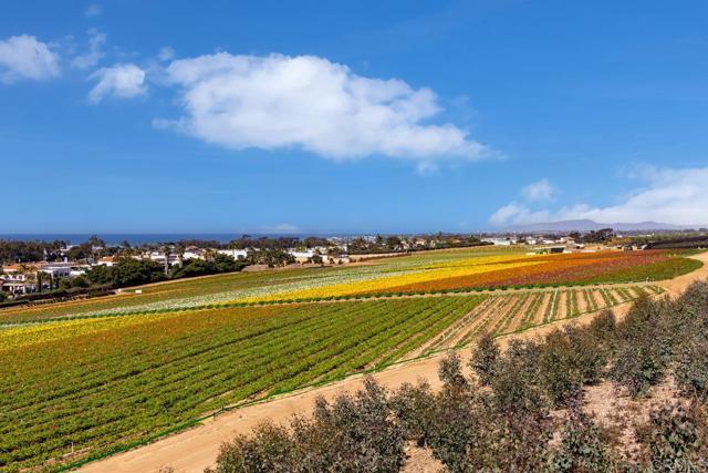 Detail Gallery Image 4 of 25 For 4942 Spirea Way, Carlsbad,  CA 92008 - 4 Beds | 3/1 Baths