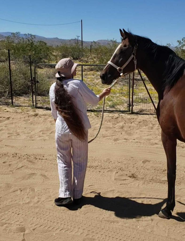 MLS #219138603PS image #39