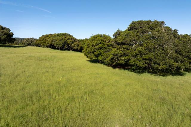 8170 Manjares (Lot 135), Monterey CA: https://media.crmls.org/mediaz/110cb43e-b636-4f68-acb7-05704111a589.jpg