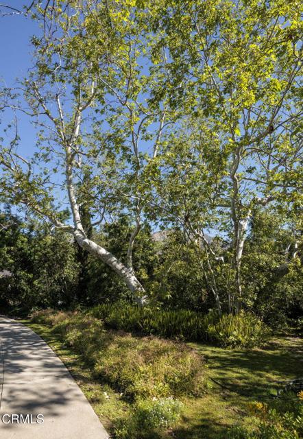 Image 13 of 29 For 1520 Carroll Drive