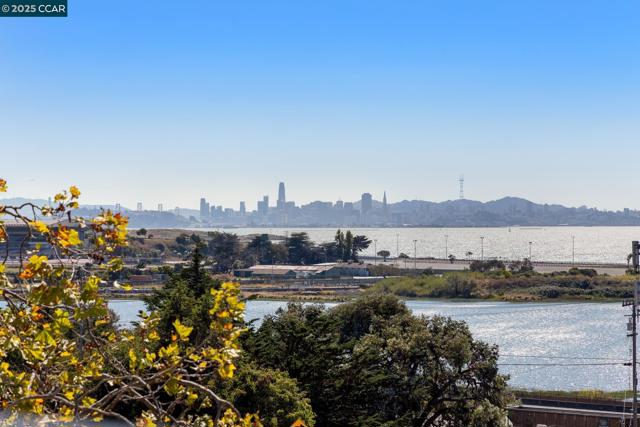 555 Pierce St, Albany CA: https://media.crmls.org/mediaz/111595b0-1058-4e2e-8803-21388f17f2d5.jpg