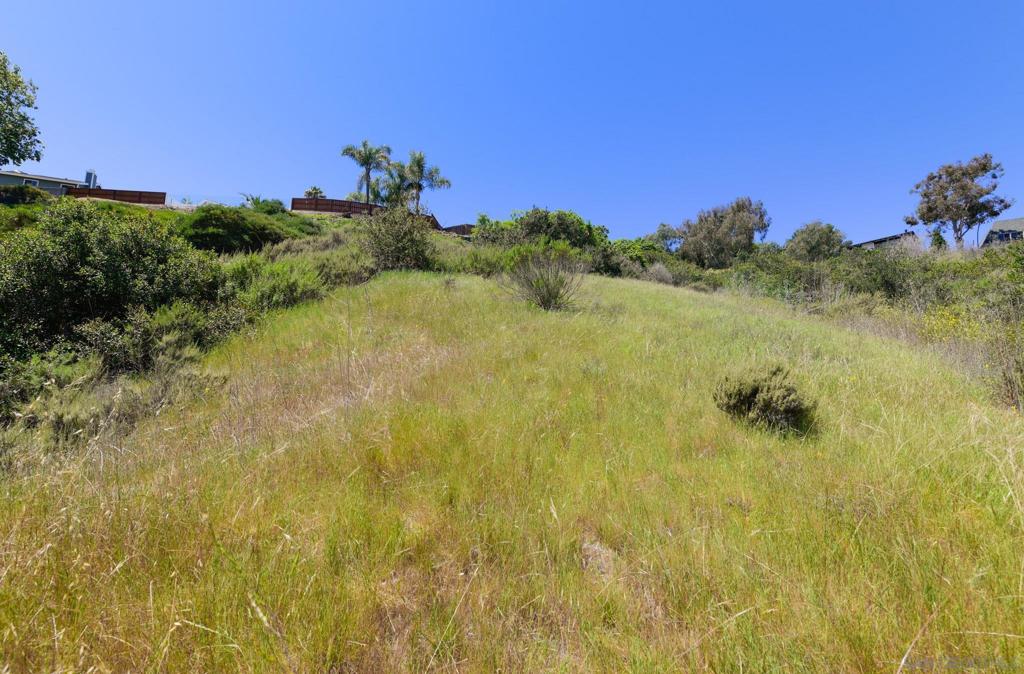 El Camino Real Carlsbad - photo 17