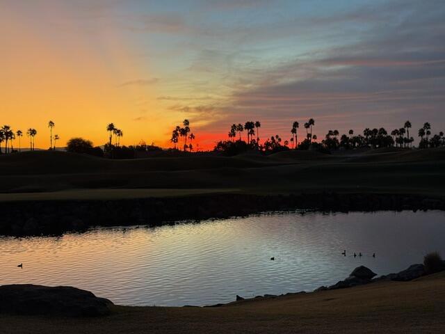 54588 Oak Tree #A105