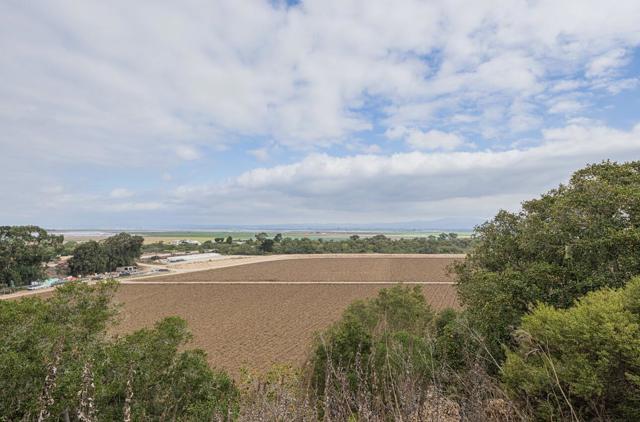 905 W Blanco Road, Salinas CA: https://media.crmls.org/mediaz/1131e655-7f0b-4240-8c74-e1e5d71aa0eb.jpg