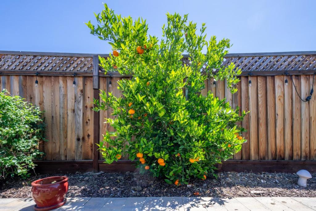 https://media.crmls.org/mediaz/1133632f-3a5e-44c7-9d4c-f17a3ac80f33.jpg?preset=X-Large