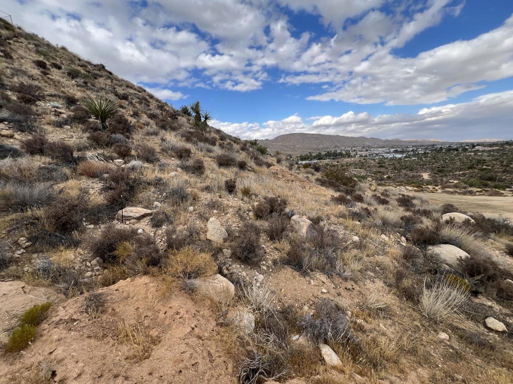 MLS #219138996DA image #8