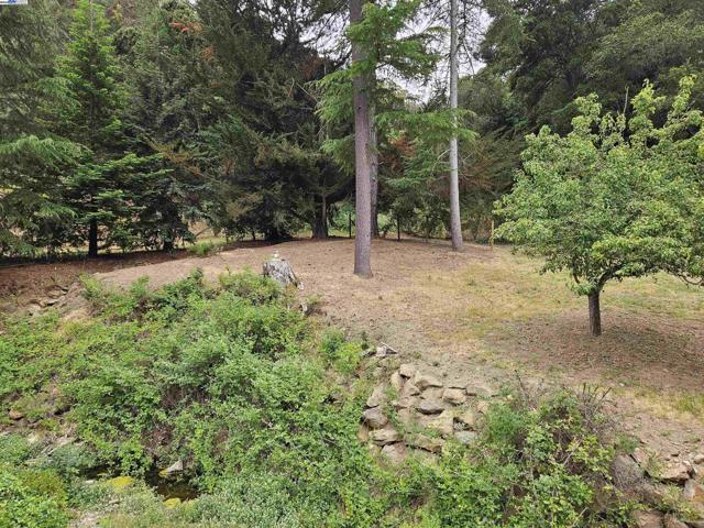 29625 Palomares Rd, Castro Valley CA: https://media.crmls.org/mediaz/11380215-b810-400d-aa22-5bc2c5ab12cf.jpg