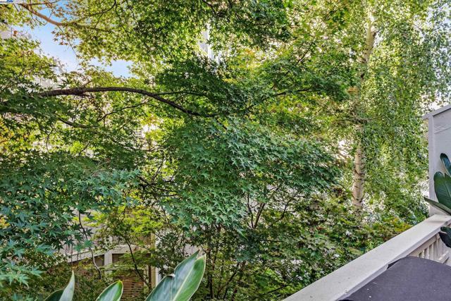 2719 Oak Rd, Walnut Creek CA: https://media.crmls.org/mediaz/114171ad-9af5-4236-b09d-a8b6334d152b.jpg