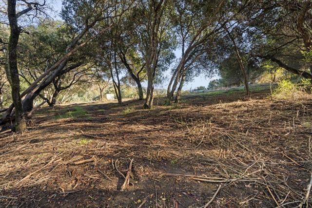 0 Old Santa Cruz Highway, Los Gatos CA: https://media.crmls.org/mediaz/11421b60-0d04-4726-8c45-361b5f180409.jpg