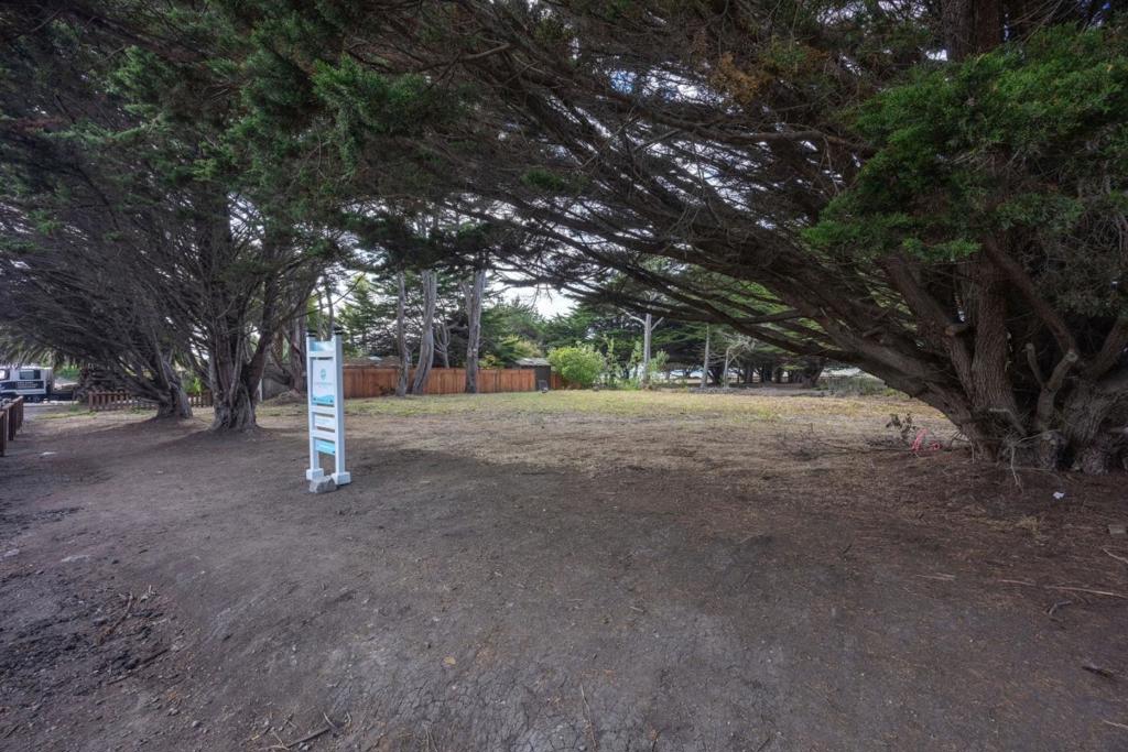 MLS #ML82019698 image #5