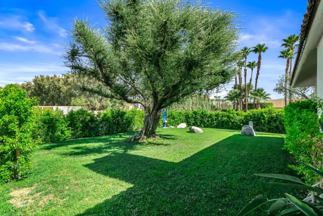 1399 N ViA Donna, Palm Springs CA: https://media.crmls.org/mediaz/11447922-5861-4185-ac0c-ba02070115f5.jpg