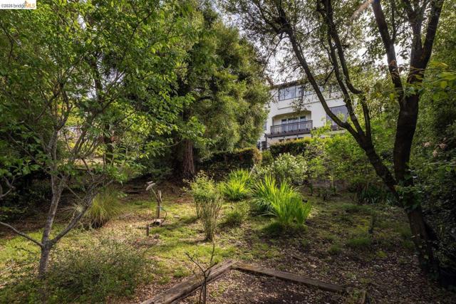 636 Euclid Ave, Berkeley CA: https://media.crmls.org/mediaz/11491b38-0b59-4b67-b05d-5b05eef16424.jpg